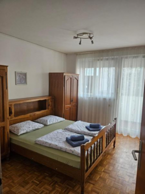 Stan Na Dan Vrh Avenije